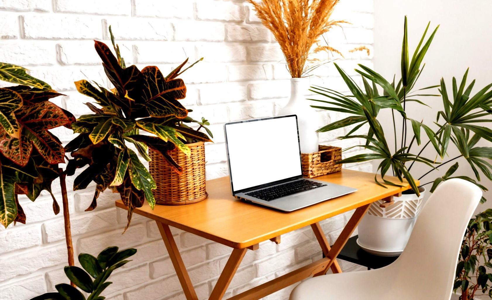 Workshop environment with business owners discussing financial strategies